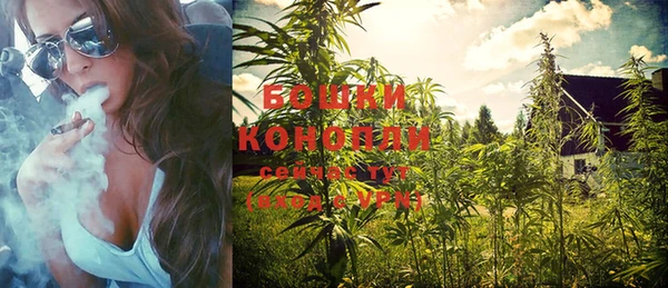 прущие грибы Костерёво