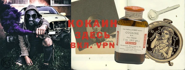 твердый Коряжма